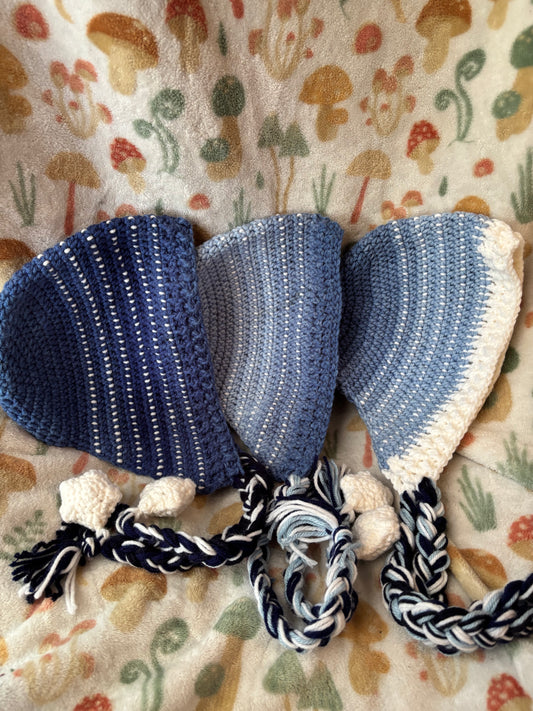 Whale "Star" hat
