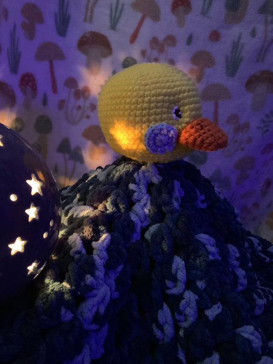 Rubber Ducky Blanket