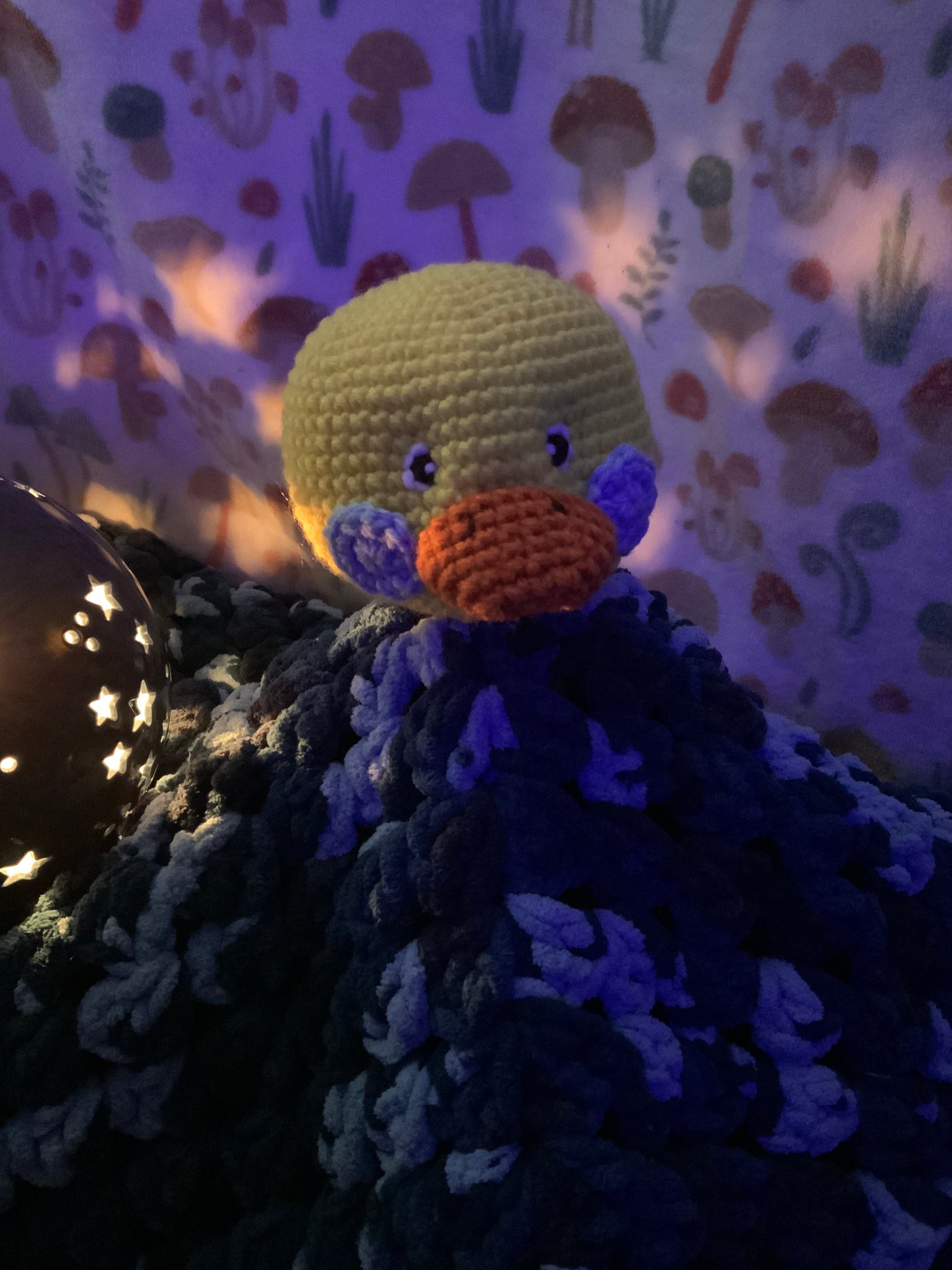 Rubber Ducky Blanket